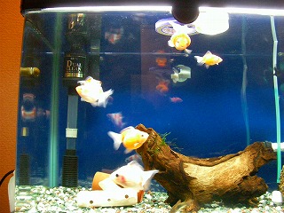 2007.11.15-23.47.06.jpg