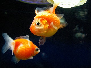 2007.11.15-23.49.06.jpg