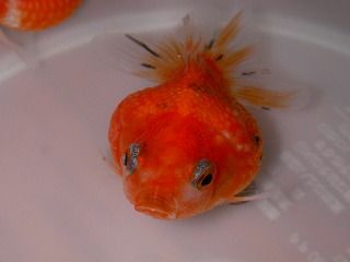 2007.07.06-20.47.14.jpg