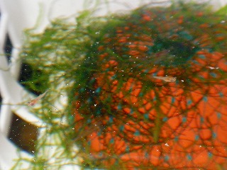 2007.12.13-21.39.24.jpg