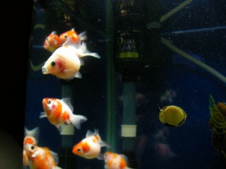 2008.01.12-00.10.00.jpg