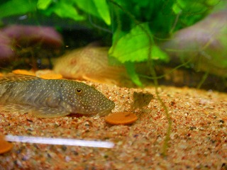 2008.01.13-21.22.21.jpg
