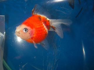 2008.01.16-17.26.54.jpg