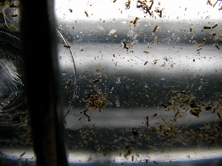 2008.01.18-21.56.26.jpg