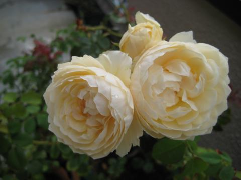 b3+003_convert_20131206010407.jpg