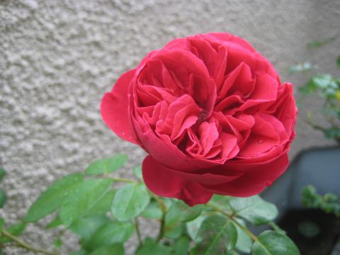b3+012_convert_20131206010438.jpg