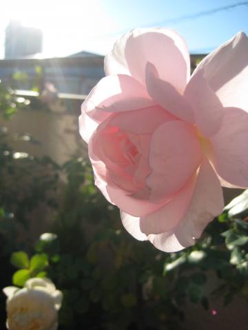 b6+082_convert_20131206010617.jpg