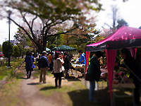 R0047365.jpg