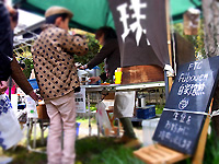 R0047374_20130429222556.jpg