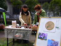 R0047380_20130429223942.jpg