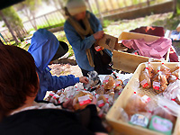 R0047391.jpg