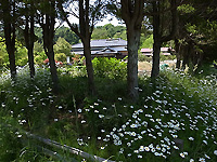 R0051418.jpg