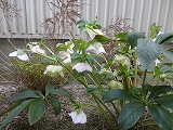 005_20130318154127.jpg
