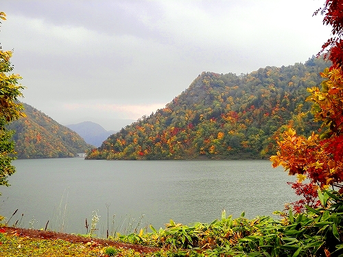 PA090588.jpg