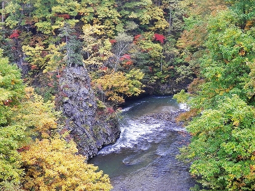 PA090596.jpg