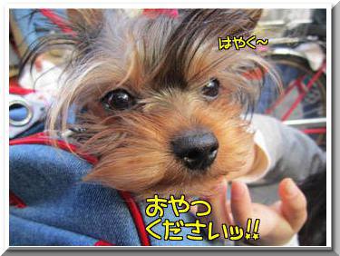 大阪ボイ君2