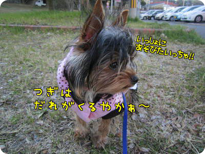 遊びたいボイ君