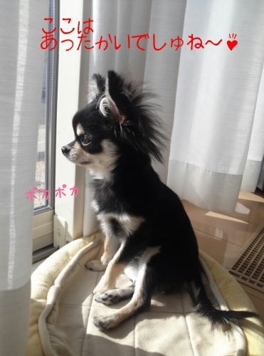 201311262109382d3.jpg