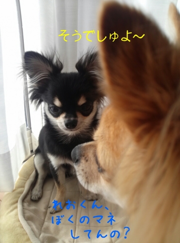 20131126211003948.jpg