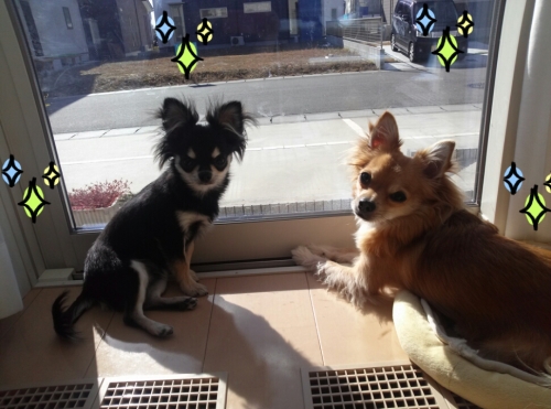 201311262110468ab.jpg