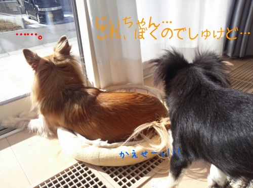201311262111099c7.jpg
