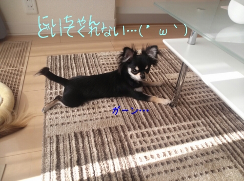 20131126211130d78.jpg