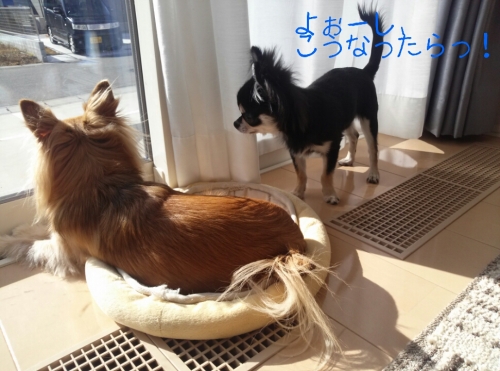 20131126211151597.jpg