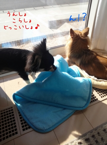201311262112193ab.jpg