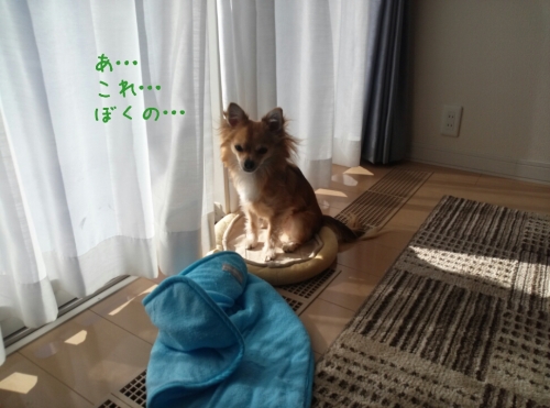 20131126211245cd6.jpg