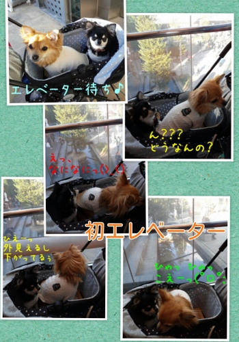 20131201214806988.jpg