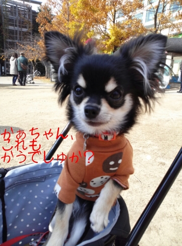 20131201215024b62.jpg