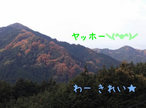 2013120121515215c.jpg
