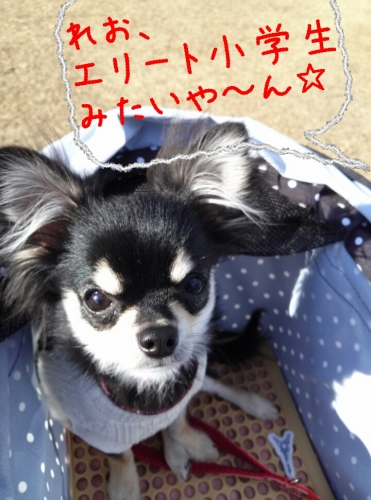 201312012152550b8.jpg