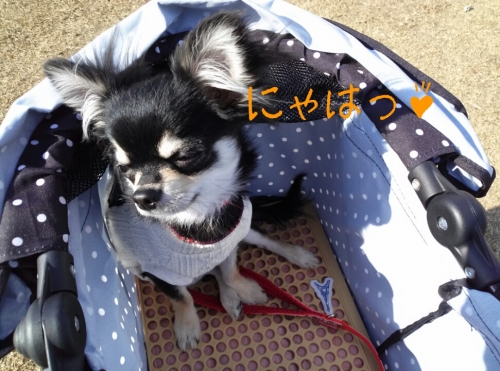 20131201215320ba6.jpg