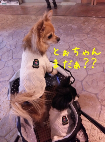 20131201215344d65.jpg