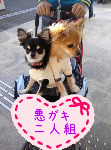 20131201215405f60.jpg