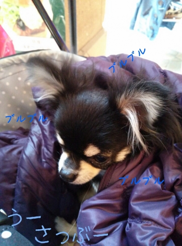 20131201215429386.jpg