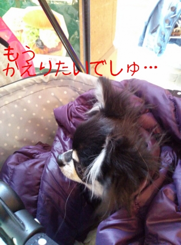 20131201215541e10.jpg