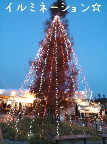 20131201215606c8c.jpg