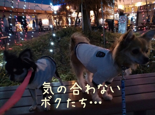 20131201215634b8f.jpg