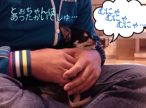 20131201215658933.jpg