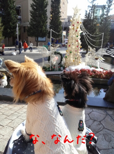 20131201235617c34.jpg