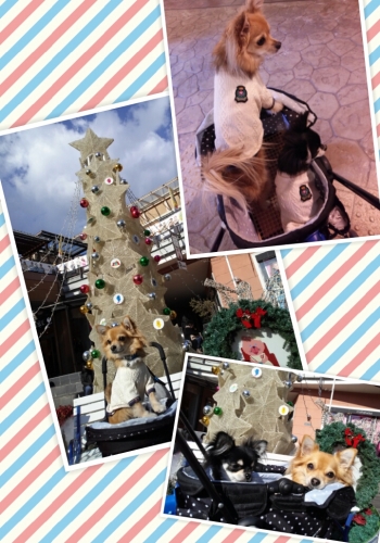 20131201235642743.jpg