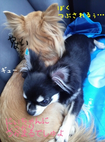 2013120923310829f.jpg
