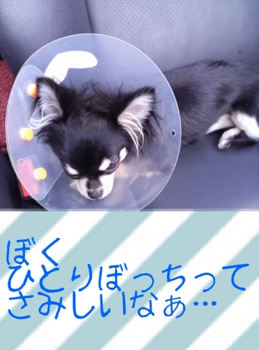 2013121021174404c.jpg