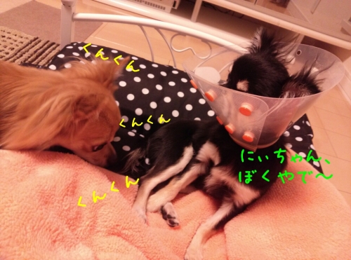 201312102118529c8.jpg