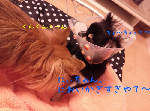 20131210211950861.jpg