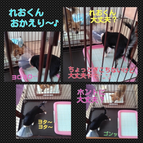 2013121022221341b.jpg