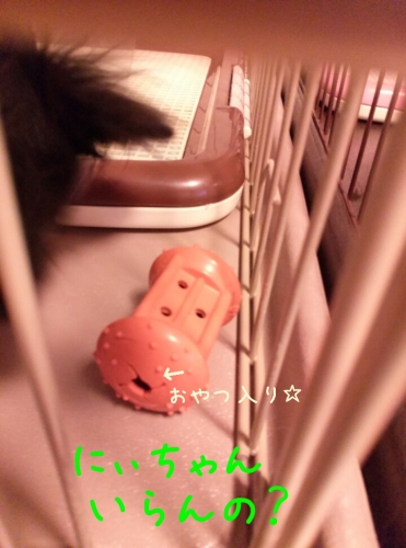 2013121119552472f.jpg
