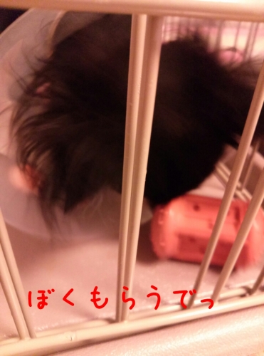 20131211195549772.jpg